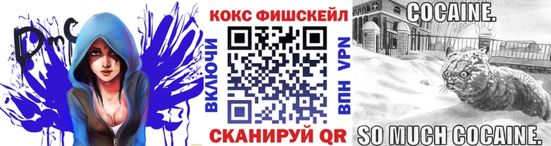 Кокаин Эквадор  наркотики  Зея 