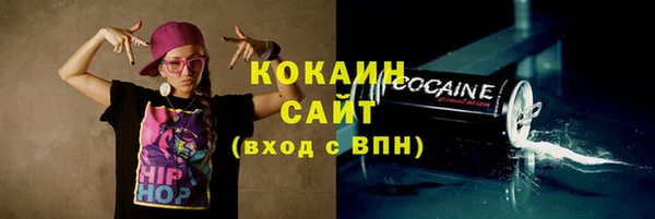 гашик Россошь
