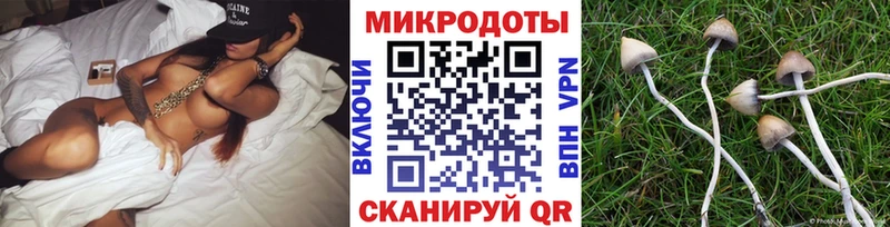 Псилоцибиновые грибы мицелий Зея